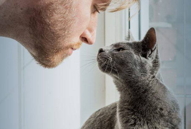 My cat keeps sneezing – What is causing it?