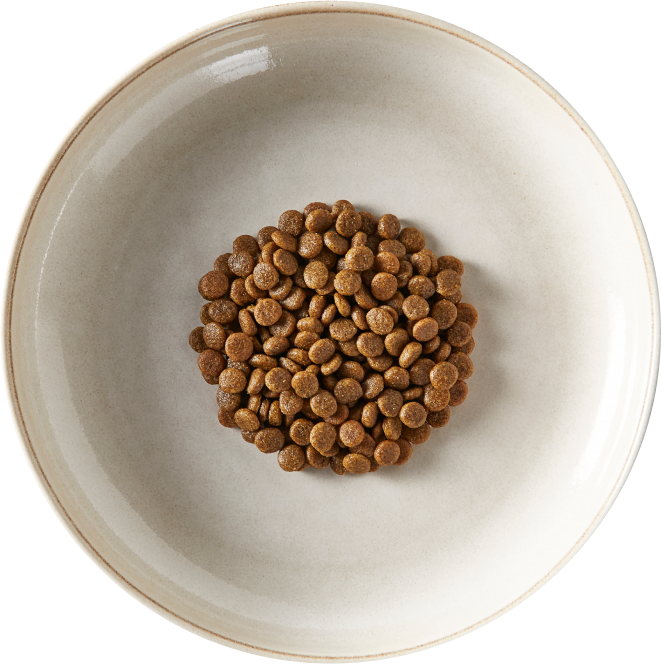 plate of dry food