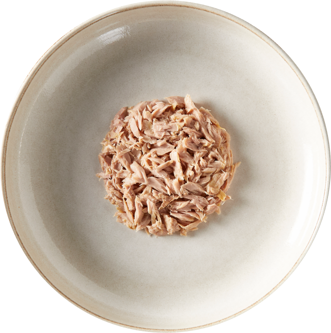 plate of wet food