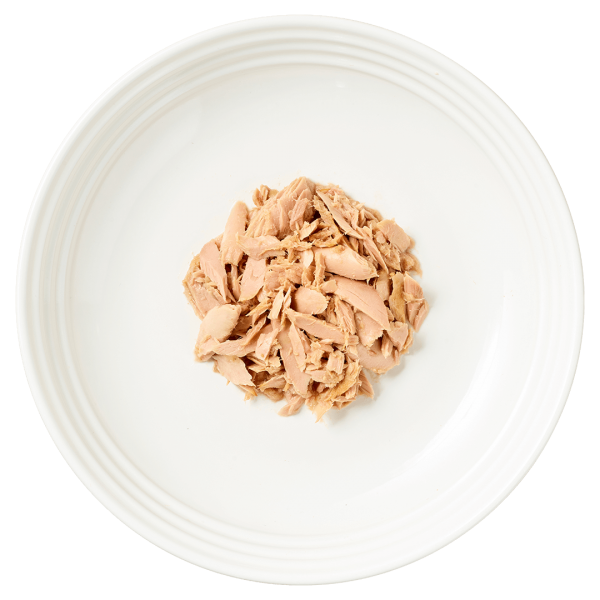 Isolated Aerial image of Reveal tuna cat food on plate