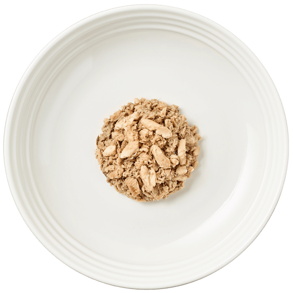 Isolated aerial image of Reveal sardine cat food with mackerel on plate