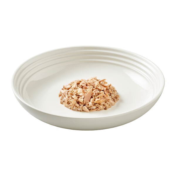 Isolated close up image of Reveal ocean fish cat food on a plate