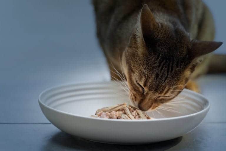 What is the best diet food for cats? Reveal Cat Food