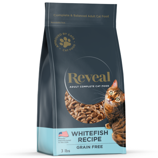 Complete dry cat food best sale