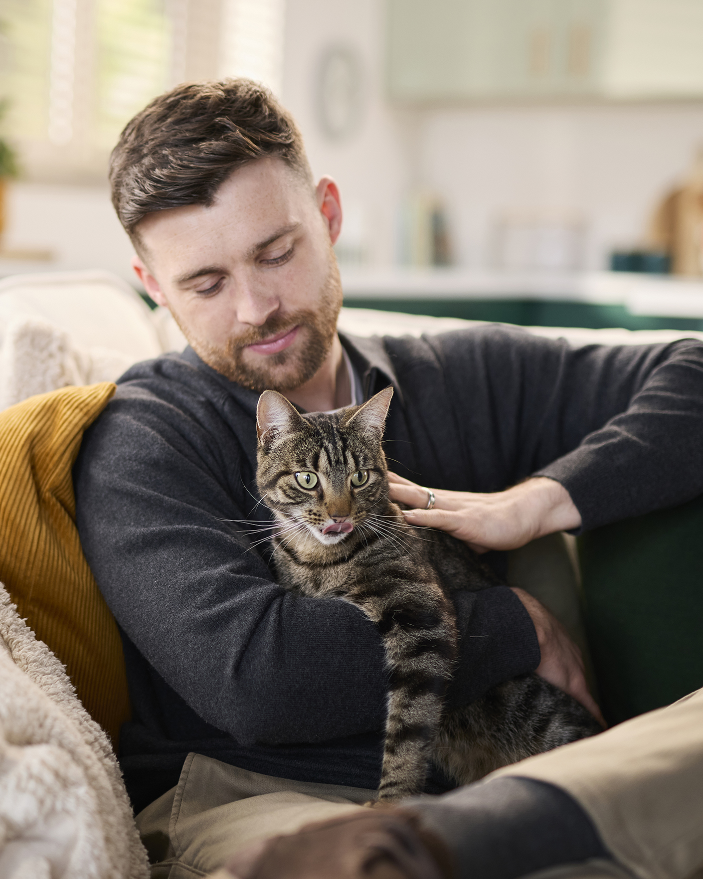Male cat owner petting tabby cat