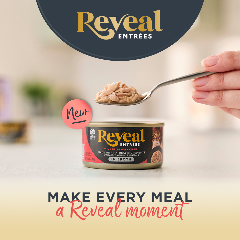 Reveal Entrees Tuna and Crab in Broth with fork
